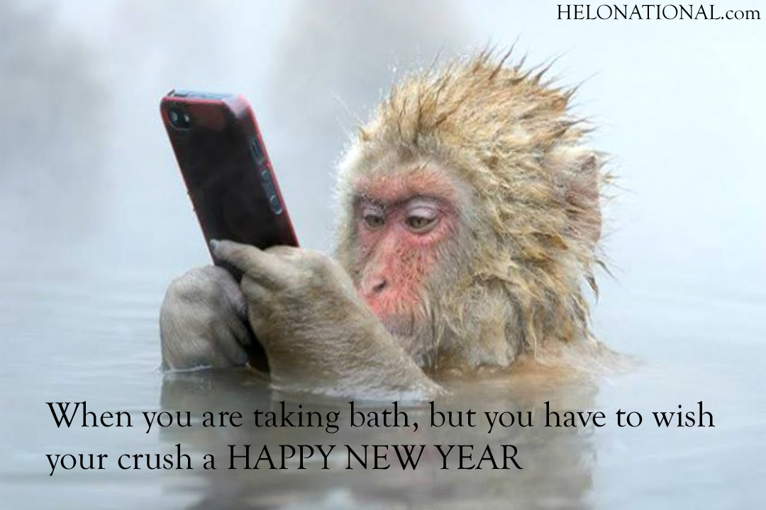 Happy New Year 2021 Memes | Best HNY Memes Collection ...