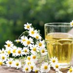 Chamomile Tea - National Flower of Russia