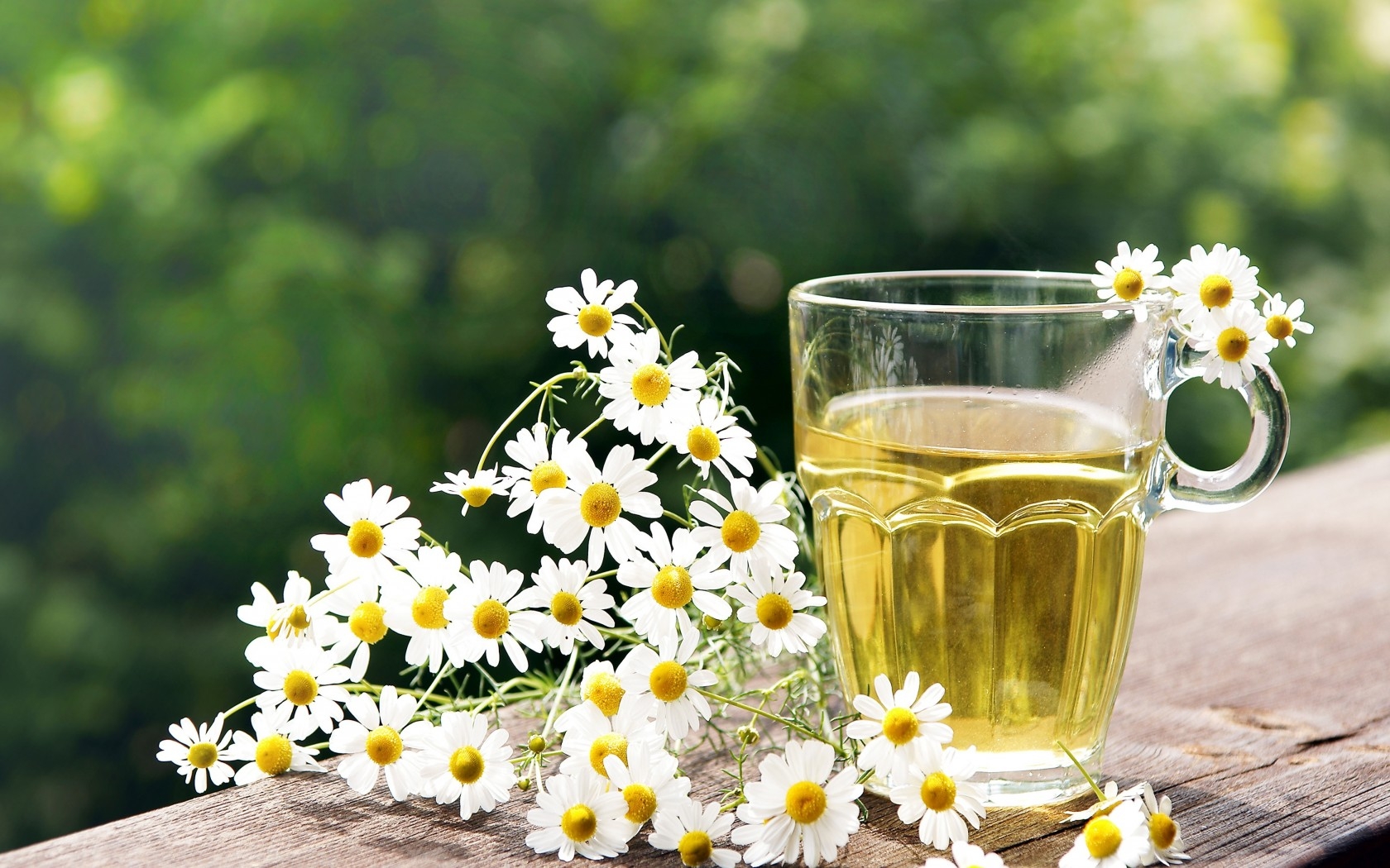 Chamomile Tea - National Flower of Russia