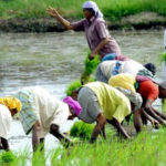 farmers day in ghana