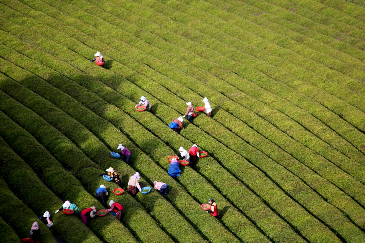 farmers day in ghana 2016 