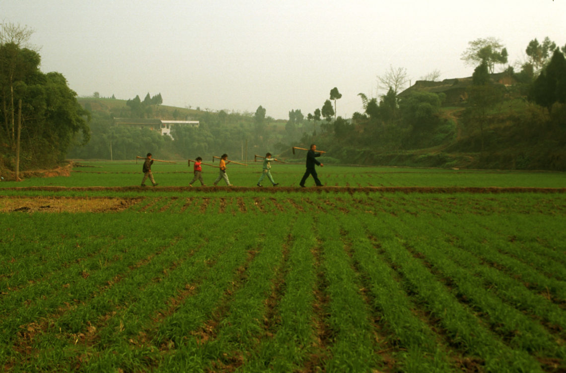 International Farmers Day 2016 Helo National