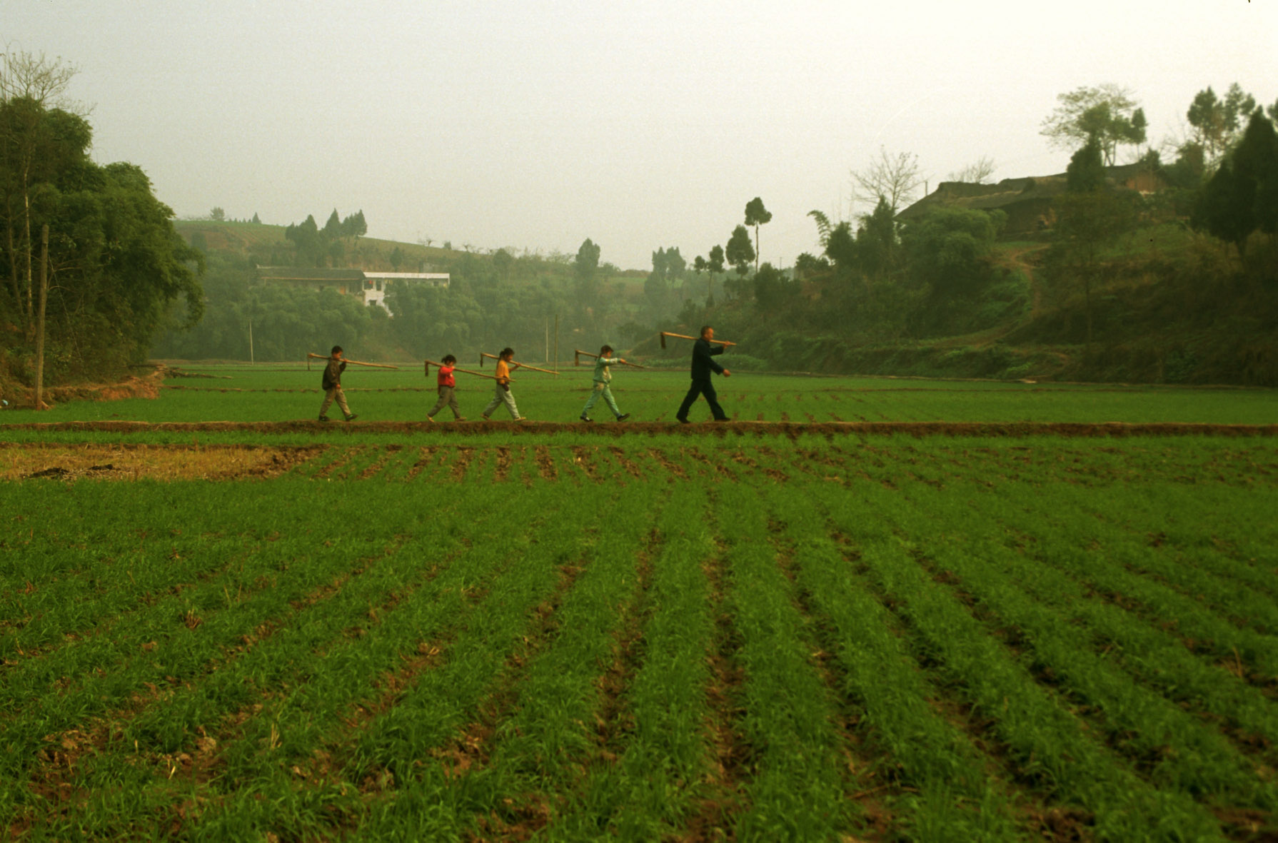 international farmers day 2016