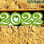 Happy New Year 2022 Calendar: All Events and Holidays