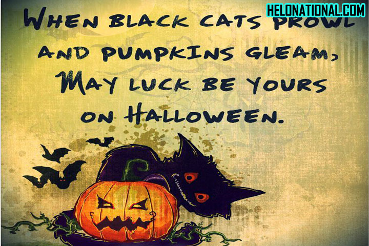 Halloween Pumpkin Messages