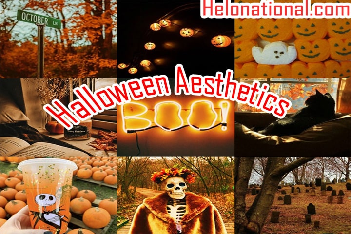 Happy Halloween Aesthetics