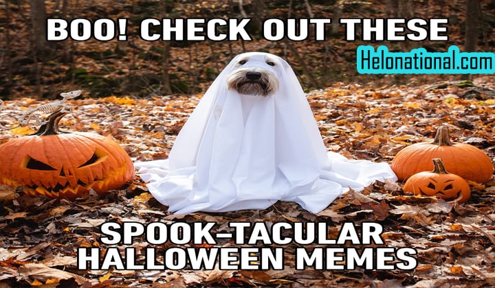 Happy Halloween Memes