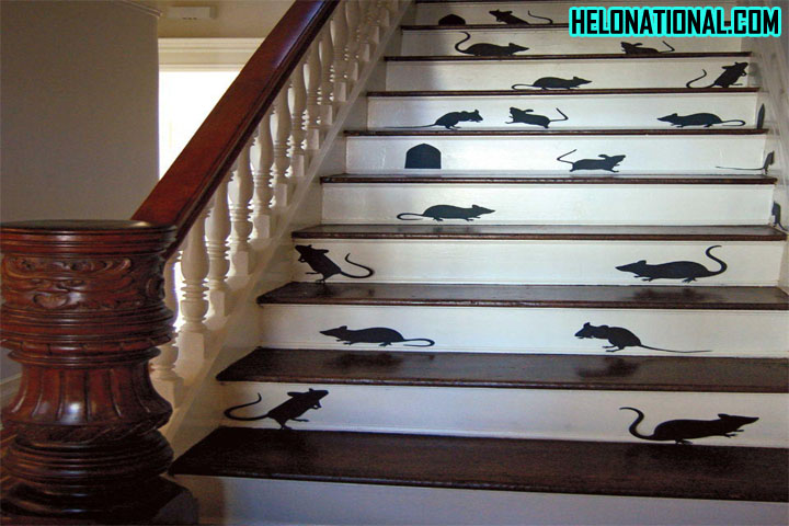 Happy Halloween Mouse Infested Stairway